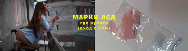 ПСИЛОЦИБИНОВЫЕ ГРИБЫ Осташков