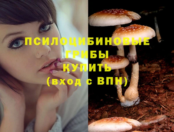 ПСИЛОЦИБИНОВЫЕ ГРИБЫ Осташков