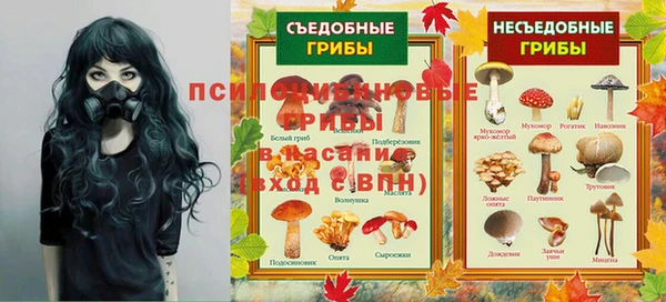 ПСИЛОЦИБИНОВЫЕ ГРИБЫ Осташков